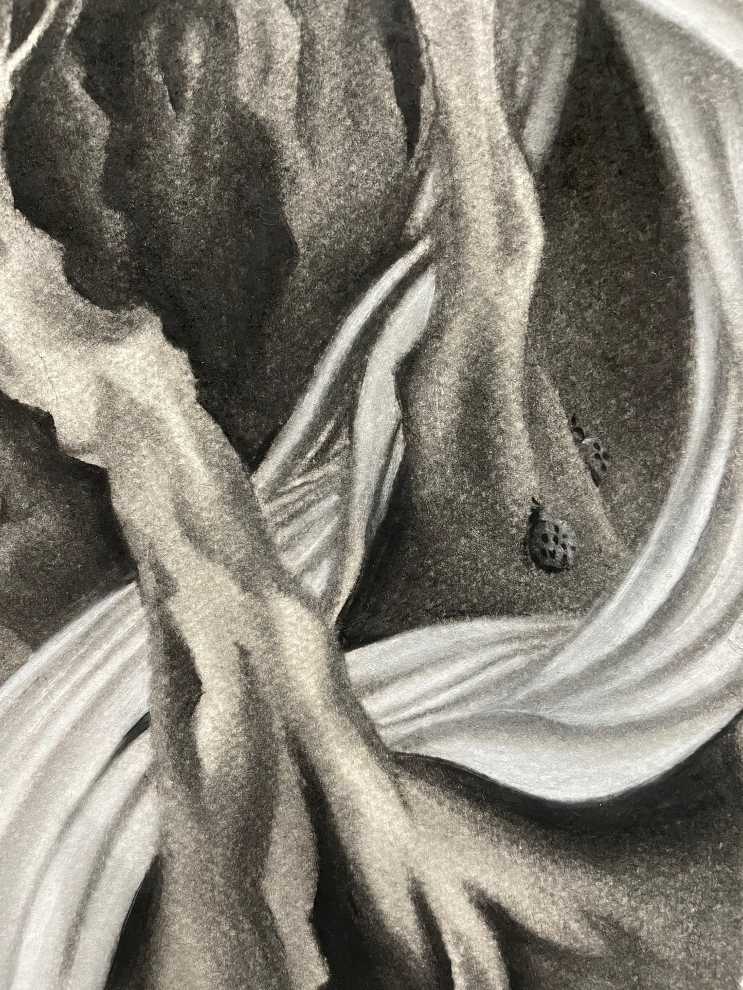 (012) "Apollo & Daphne"